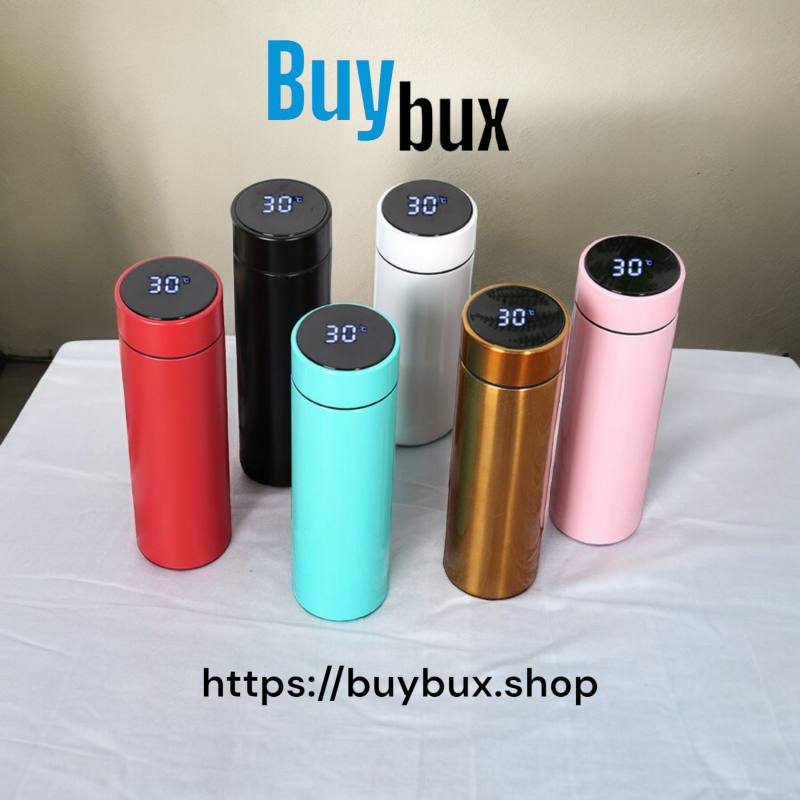 LED Temperature Display Bottle, Stainless Steel Intellective Thermos with Double Bottom, Smart Vacuu